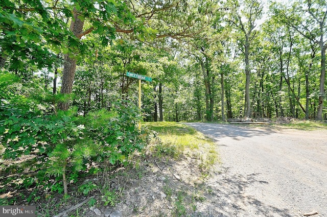 121 Sweetbriar Ln, Winchester, VA 22603 - view of dirt / gravel road