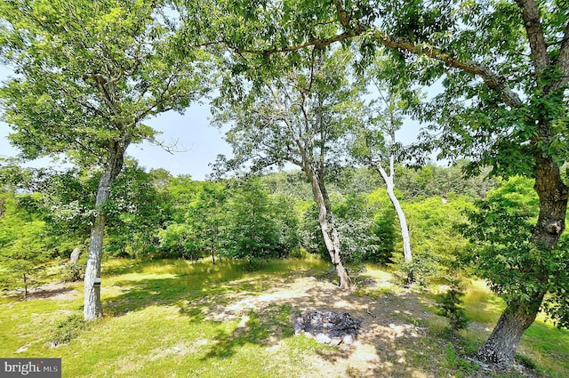 121 Sweetbriar Ln, Winchester, VA 22603 - view of yard featuring a forest view
