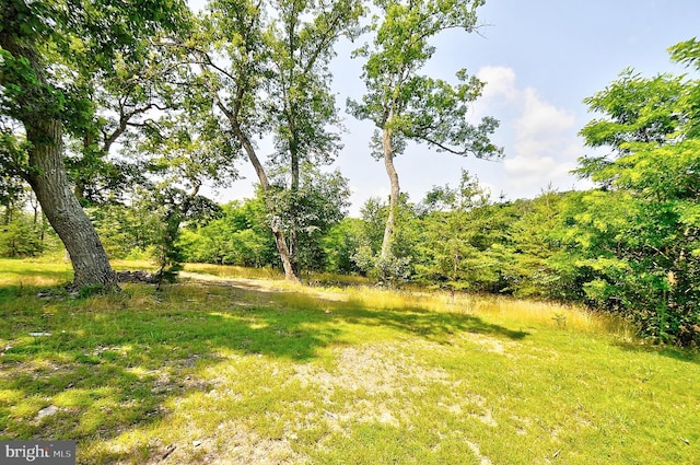 121 Sweetbriar Ln, Winchester, VA 22603 - view of yard
