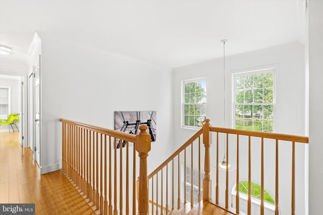 9 Hedgecroft Dr, Pennington, NJ 08534 - hallway with an upstairs landing, wood finished floors, and ornamental molding