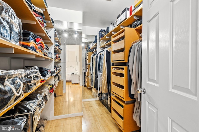 9 Hedgecroft Dr, Pennington, NJ 08534 - view of walk in closet