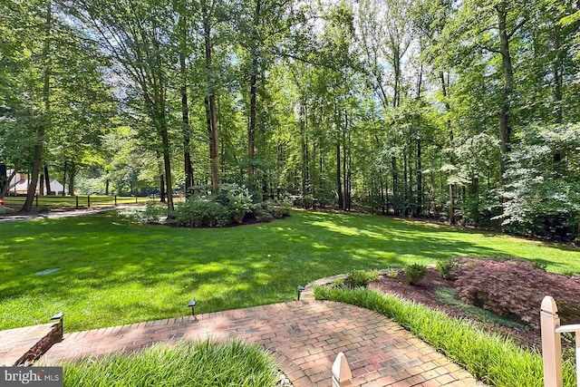 11166 Deuaughn Ct, Fairfax Station, VA 22039 - view of green lawn