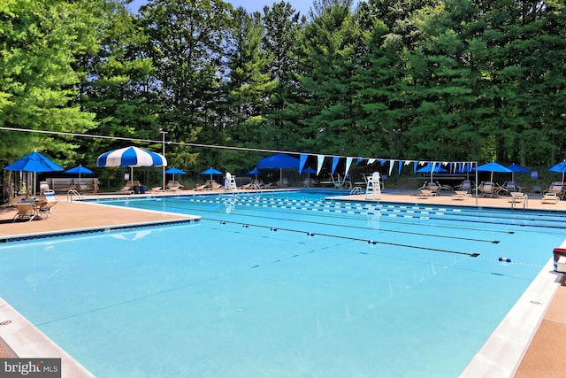 11166 Deuaughn Ct, Fairfax Station, VA 22039 - community pool featuring view of wooded area and a patio
