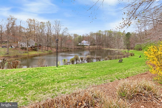 11166 Deuaughn Ct, Fairfax Station, VA 22039 - water view