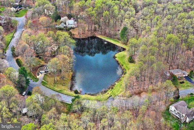 11166 Deuaughn Ct, Fairfax Station, VA 22039 - aerial overview of property's location with a large body of water and a forest