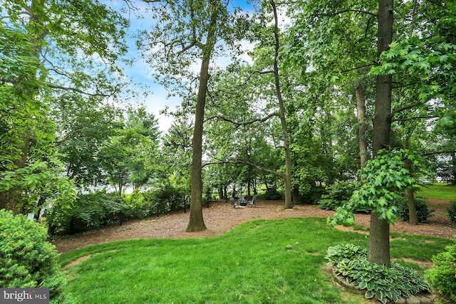 22 Piston Ct, Stewartstown, PA 17363 - view of grassy yard