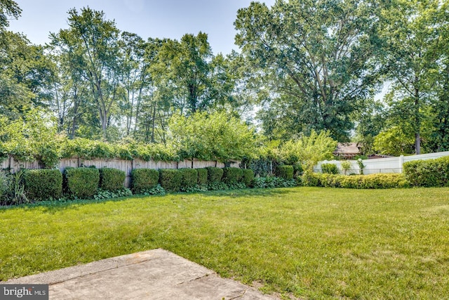 601 King George Rd, Cherry Hill, NJ 08034 - view of yard