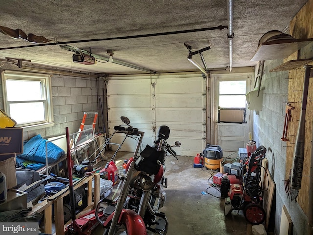 44 Chestnut St, Adamstown, PA 19501 - garage with a garage door opener and concrete block wall