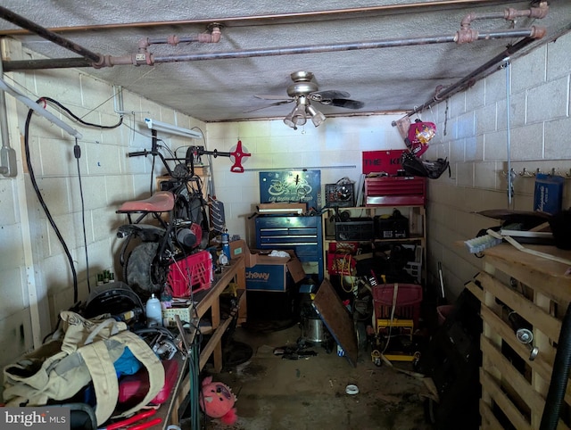 44 Chestnut St, Adamstown, PA 19501 - basement with concrete block wall and a workshop area