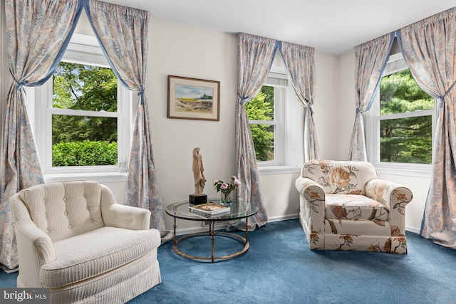 544 N Wayne Ave, Wayne, PA 19087 - sitting room featuring carpet floors and healthy amount of natural light