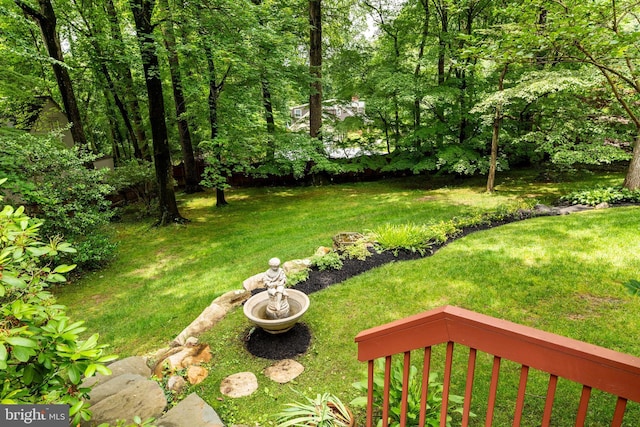 544 N Wayne Ave, Wayne, PA 19087 - view of green lawn