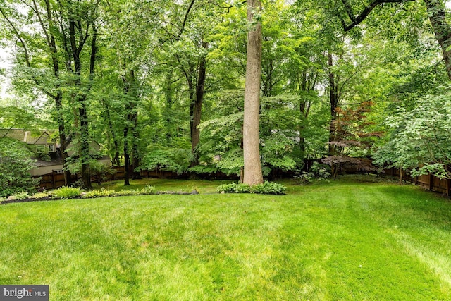544 N Wayne Ave, Wayne, PA 19087 - view of yard