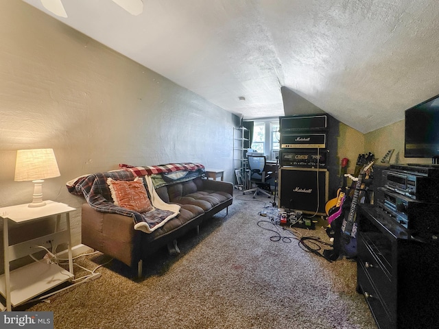268 N Main St, Red Lion, PA 17356 - carpeted living area with lofted ceiling, a textured wall, and a textured ceiling