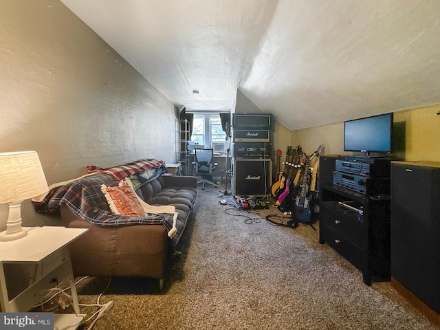 268 N Main St, Red Lion, PA 17356 - living area with carpet floors and lofted ceiling