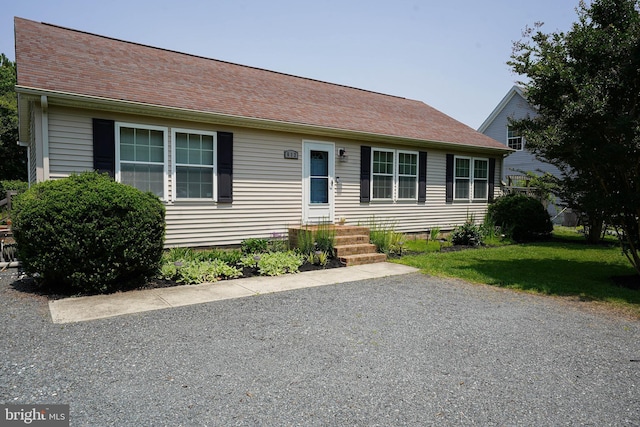 612 S Division St, Fruitland, MD 21826 - view of front of property featuring roof with shingles and a front lawn