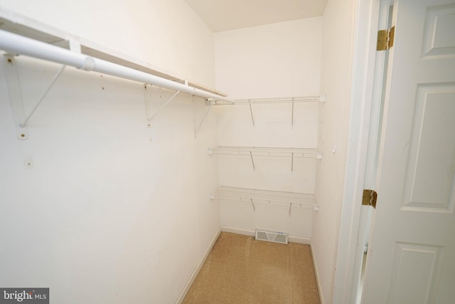 612 S Division St, Fruitland, MD 21826 - walk in closet with light colored carpet