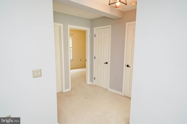 612 S Division St, Fruitland, MD 21826 - hall with attic access and carpet