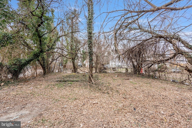 5248 Cordelia Ave, Baltimore, MD 21215 - view of yard