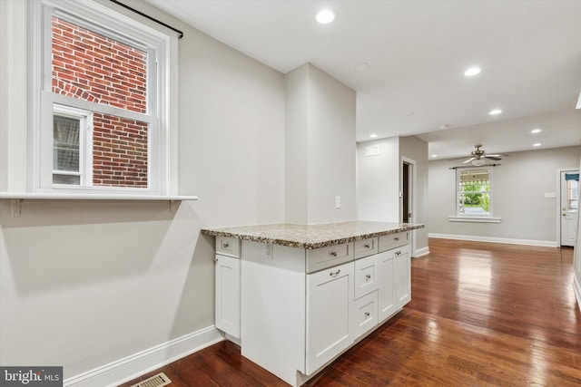 252 N 3rd St, North Wales, PA 19454 - kitchen with light stone countertops, recessed lighting, dark wood-type flooring, white cabinetry, and a peninsula