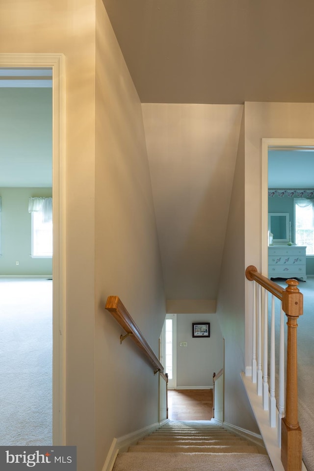 5900 Wayside Dr, Macungie, PA 18062 - staircase with carpet flooring and baseboards