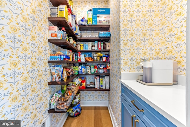 806 Dunfer Hill Rd, Severna Park, MD 21146 - view of storage area