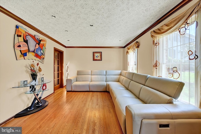 2700 Moores Valley Dr, Baltimore, MD 21209 - living area with crown molding, light wood-type flooring, and a textured ceiling