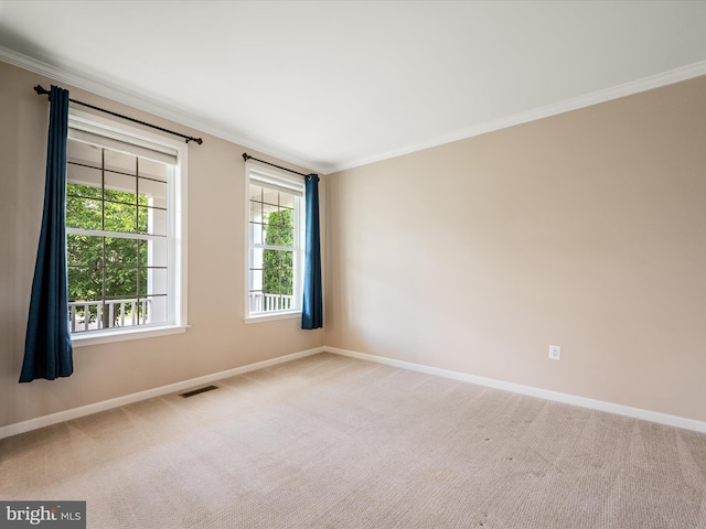 114 Renee Ln, Winchester, VA 22602 - spare room featuring crown molding and carpet flooring