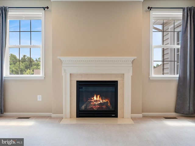 114 Renee Ln, Winchester, VA 22602 - detailed view of carpet flooring and a premium fireplace