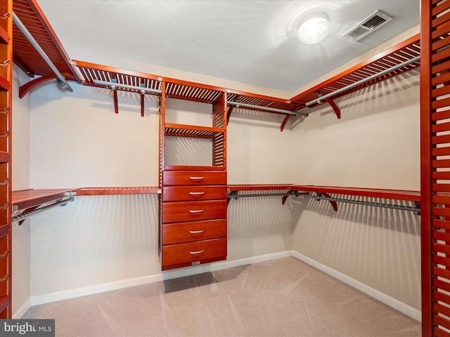 114 Renee Ln, Winchester, VA 22602 - spacious closet featuring carpet flooring