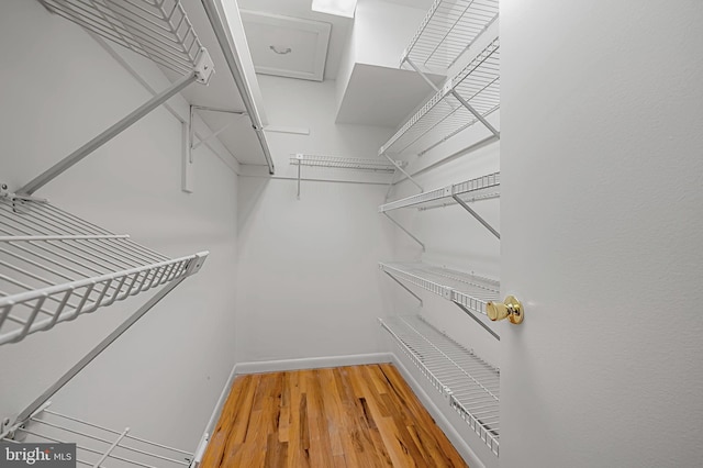 6128 Buckingham Manor Dr, Baltimore, MD 21210 - spacious closet with wood finished floors