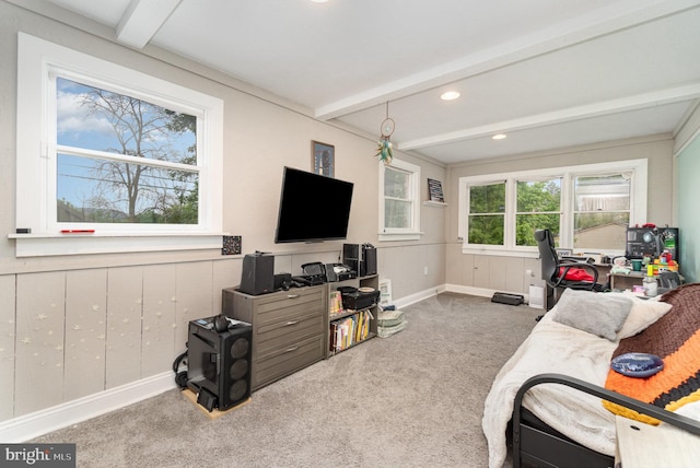 30 Bunker Ln, Etters, PA 17319 - living area featuring carpet, beamed ceiling, and recessed lighting