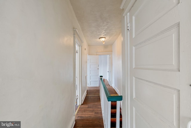 1245 Chase St, Camden, NJ 08104 - corridor featuring dark wood-style floors and baseboards
