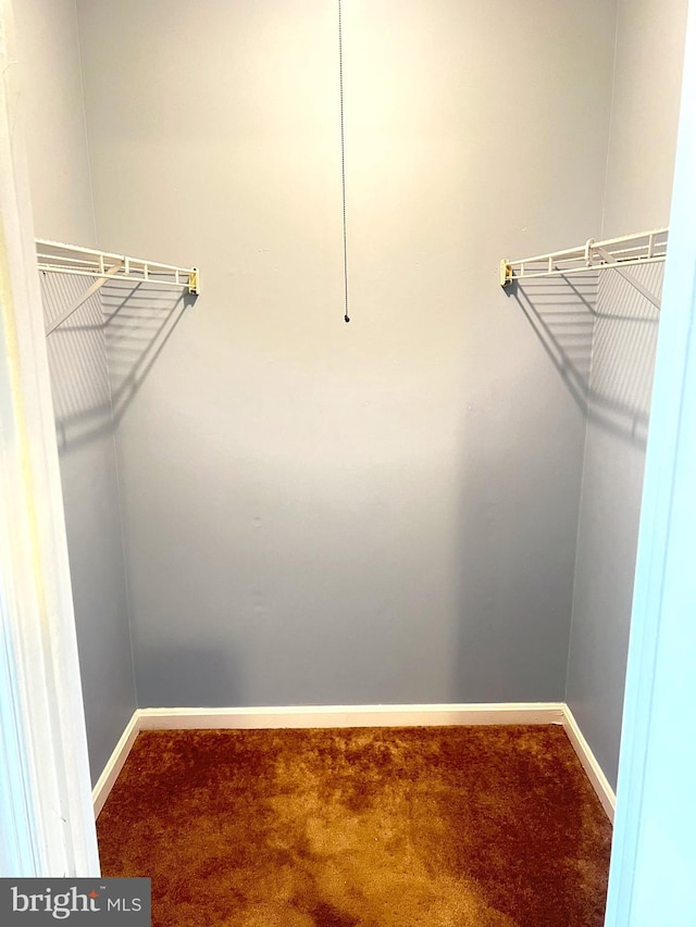 2177 Fawn Ct, Waldorf, MD 20602 - walk in closet with carpet