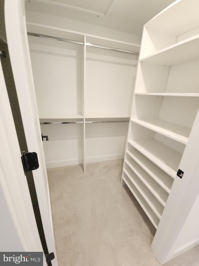 8610 Evergreen Pl Unit 100, Philadelphia, PA 19118 - spacious closet featuring carpet flooring