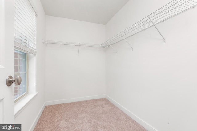 9 Fila Way, Sparks Glencoe, MD 21152 - spacious closet featuring carpet flooring