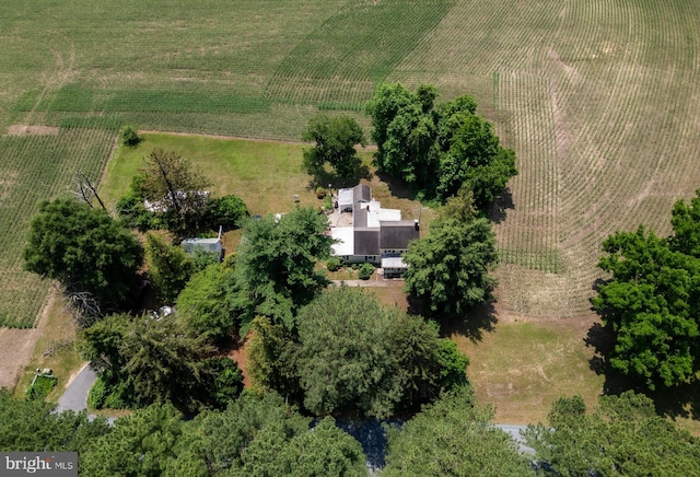 12194 Knife Box Rd, Greensboro, MD 21639 - aerial view of property's location featuring rural landscape