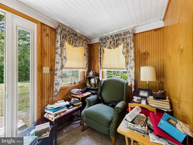 12194 Knife Box Rd, Greensboro, MD 21639 - office space with plenty of natural light, wood walls, and carpet floors