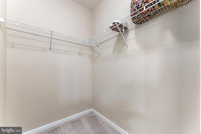 7315 Brookview Rd Unit 306, Elkridge, MD 21075 - spacious closet with carpet floors
