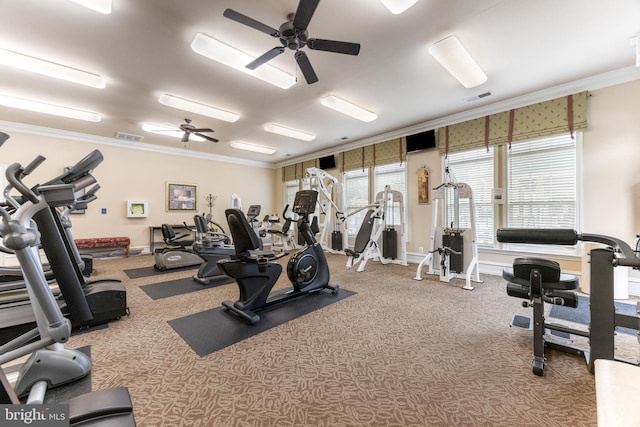 7315 Brookview Rd Unit 306, Elkridge, MD 21075 - gym with crown molding, a ceiling fan, and carpet flooring