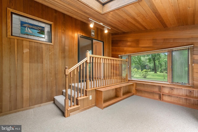 18 Linda Ln, Hatboro, PA 19040 - stairway featuring wood walls, a skylight, rail lighting, wooden ceiling, and carpet flooring