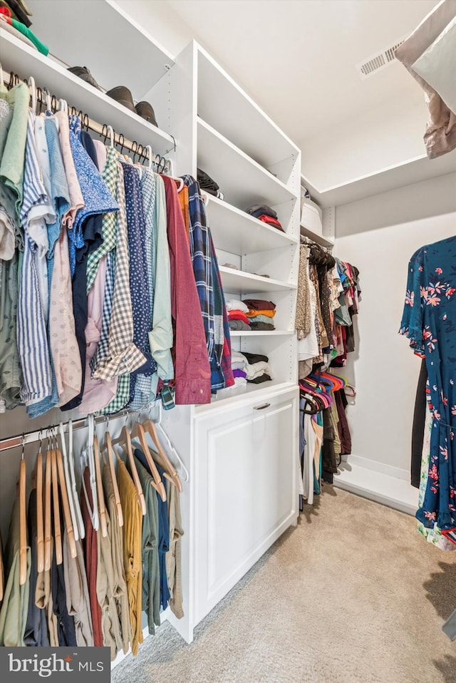515 Quarry Point Rd, Malvern, PA 19355 - walk in closet featuring carpet flooring
