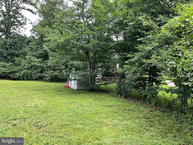 6313 Bardu Ave, Springfield, VA 22152 - view of yard with a shed