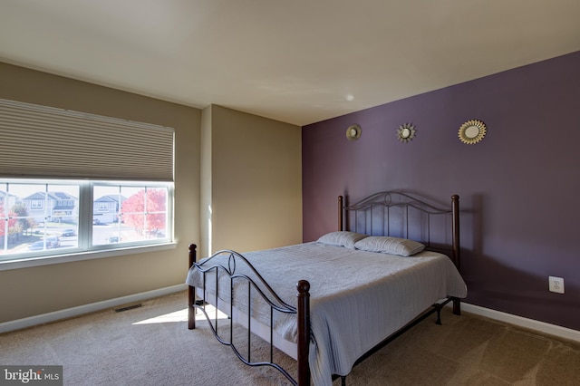 2018 Silver Bell Ct, Culpeper, VA 22701 - bedroom with carpet flooring