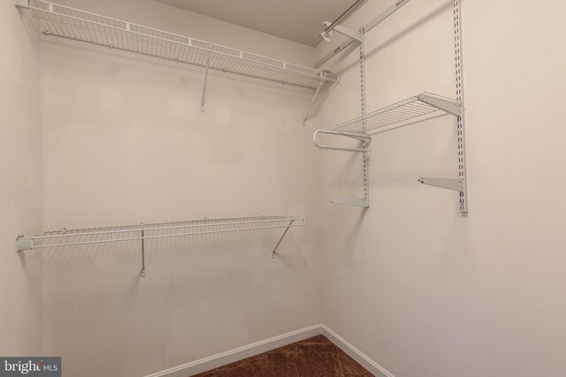 2018 Silver Bell Ct, Culpeper, VA 22701 - walk in closet with dark colored carpet