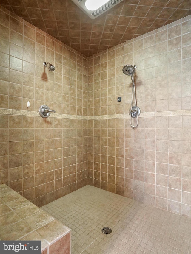 22124 Whitestone Ct, Smithsburg, MD 21783 - full bathroom featuring tiled shower