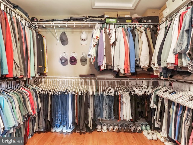 22124 Whitestone Ct, Smithsburg, MD 21783 - spacious closet with wood finished floors