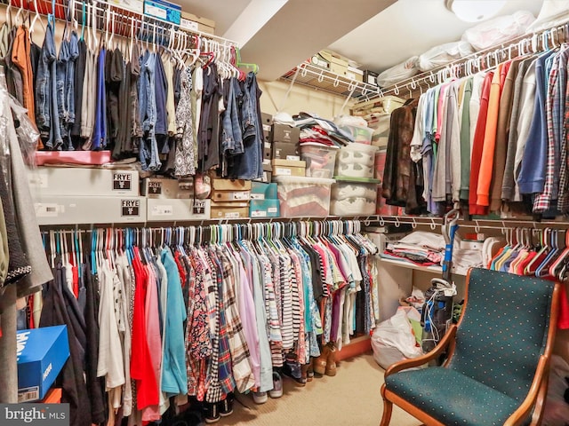 22124 Whitestone Ct, Smithsburg, MD 21783 - walk in closet featuring carpet
