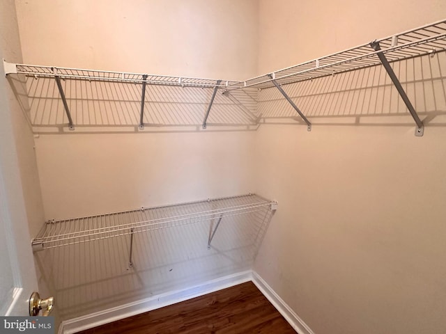 8980 Harrover Pl Unit 80B, Lorton, VA 22079 - walk in closet with wood finished floors