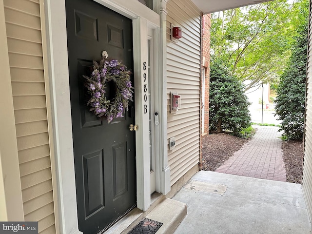 8980 Harrover Pl Unit 80B, Lorton, VA 22079 - view of exterior entry