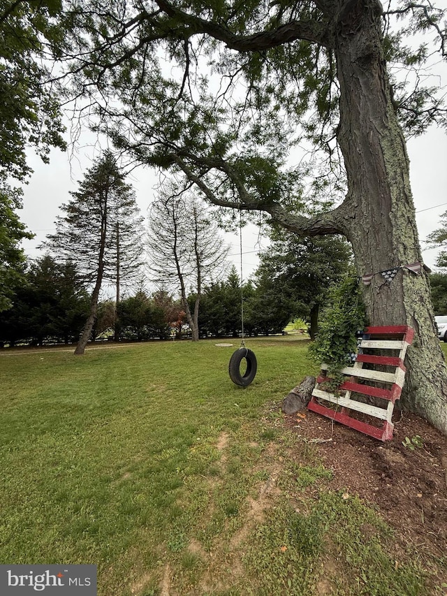 352 Almond Rd, Pittsgrove, NJ 08318 - view of grassy yard
